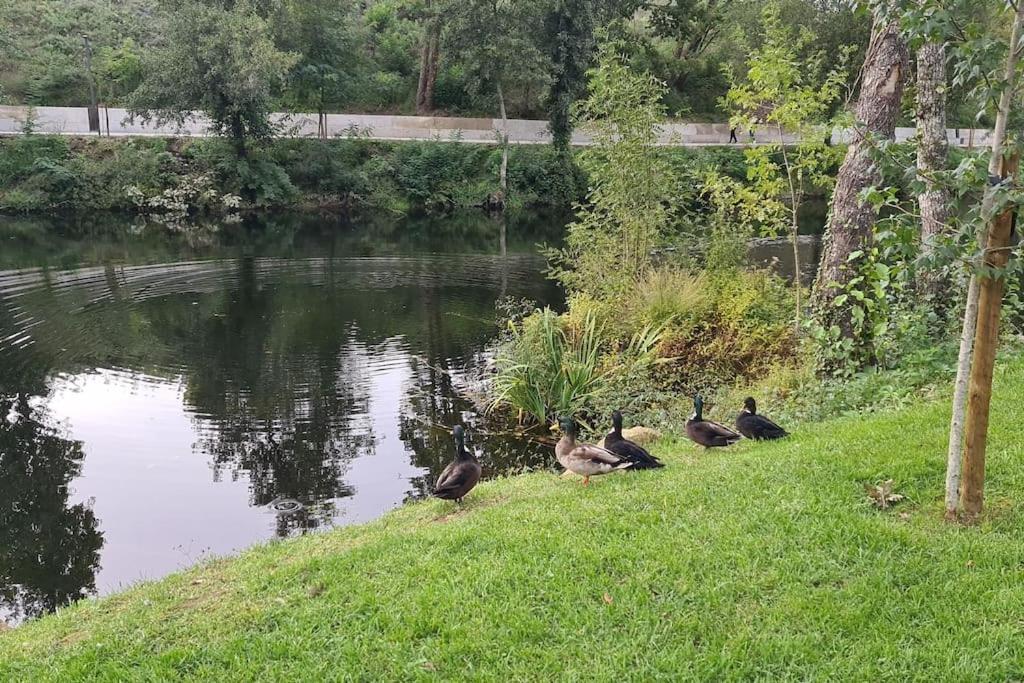 Nature E Spa Al - Termas Saude E Beleza, Totalmente Renovado - Piscinas Municipais Em Frente - Epoca Julho A Setembro São Pedro do Sul エクステリア 写真