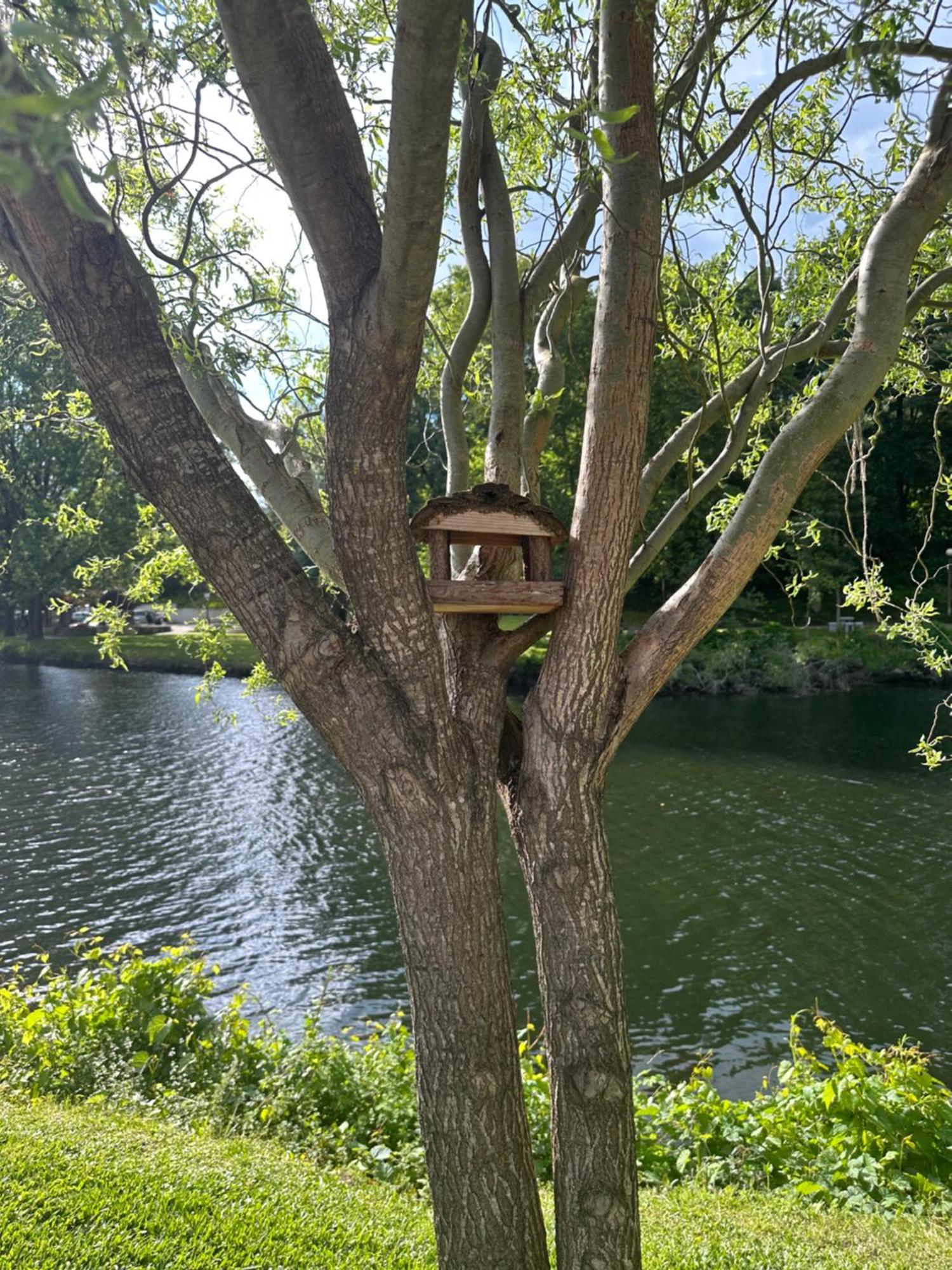 Nature E Spa Al - Termas Saude E Beleza, Totalmente Renovado - Piscinas Municipais Em Frente - Epoca Julho A Setembro São Pedro do Sul エクステリア 写真